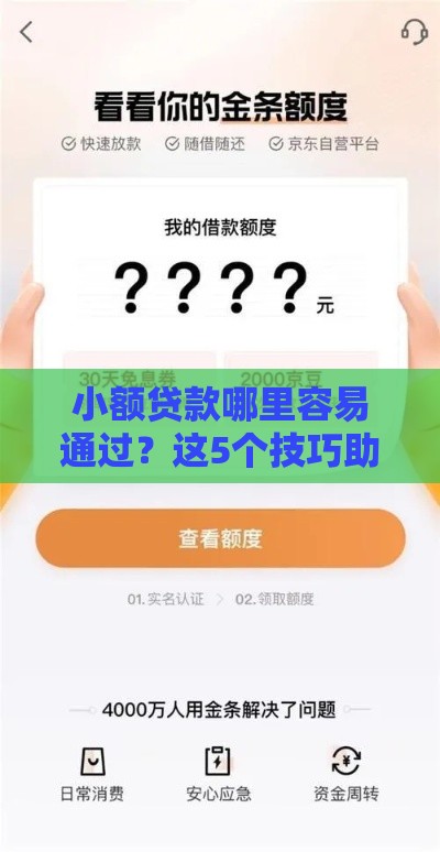 小额贷款哪里容易通过？这5个技巧助你快速下款