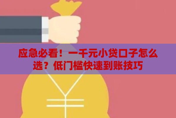 应急必看！一千元小贷口子怎么选？低门槛快速到账技巧