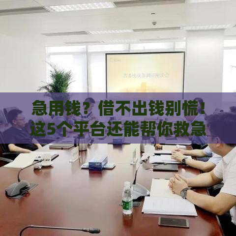 急用钱？借不出钱别慌！这5个平台还能帮你救急
