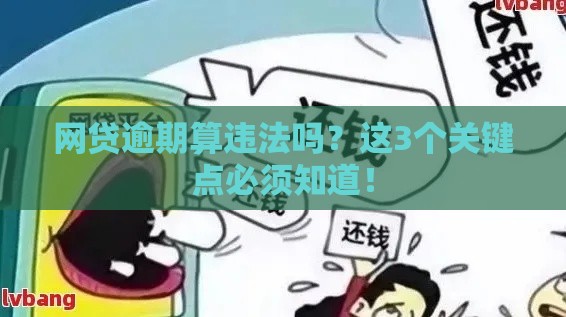 网贷逾期算违法吗？这3个关键点必须知道！