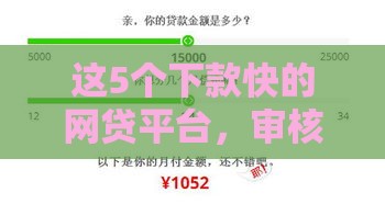 这5个下款快的网贷平台,审核宽松到账快(附避坑攻略) 这5个下款快的网贷平台,审核宽松到账快(附避坑攻略)