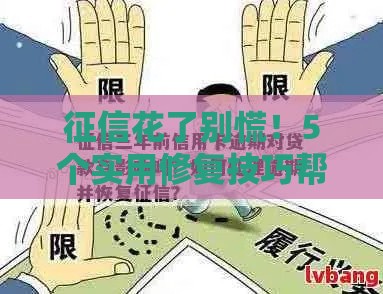 征信花了别慌！5个实用修复技巧帮你轻松搞定贷款难题