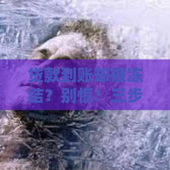 贷款到账却被冻结？别慌！三步教你轻松解冻资金