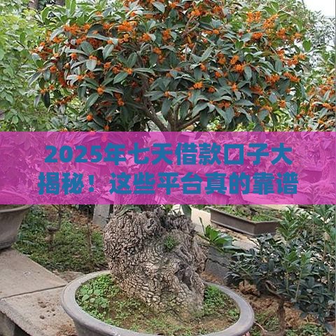 2025年七天借款口子大揭秘！这些平台真的靠谱吗？