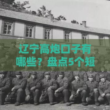 辽宁高炮口子有哪些？盘点5个短期借款渠道，这几个资质要求低、放款快！