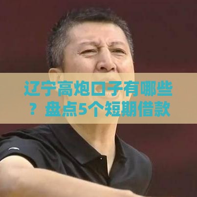辽宁高炮口子有哪些？盘点5个短期借款渠道，这几个资质要求低、放款快！