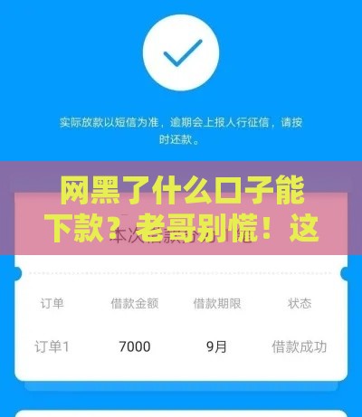网黑了什么口子能下款？老哥别慌！这些渠道还能救急用钱必看