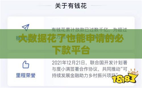 大数据花了也能申请的必下款平台