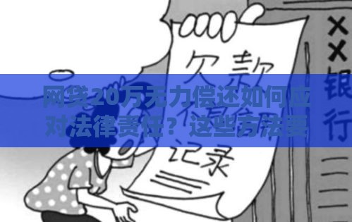 网贷20万无力偿还如何应对法律责任？这些方法要牢记！