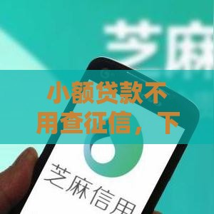 小额贷款不用查征信，下款快还有这些门道？
