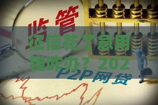 征信花了急用钱咋办？2025网贷避坑指南教你三招上岸