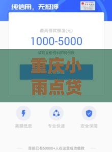 重庆小雨点贷款靠谱吗？快速下款+灵活额度，手把手教你避坑！