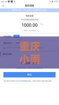 重庆小雨点贷款靠谱吗？快速下款+灵活额度，手把手教你避坑！
