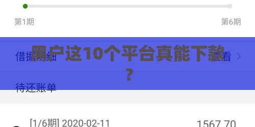 黑户这10个平台真能下款？