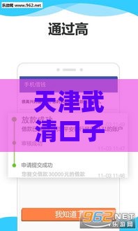 天津武清口子镇在哪？当地人贷款渠道全解析