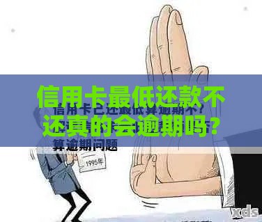信用卡最低还款不还真的会逾期吗？这几点必须搞懂！