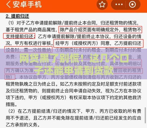 网贷黑了别慌！这几个口子还能申请到贷款