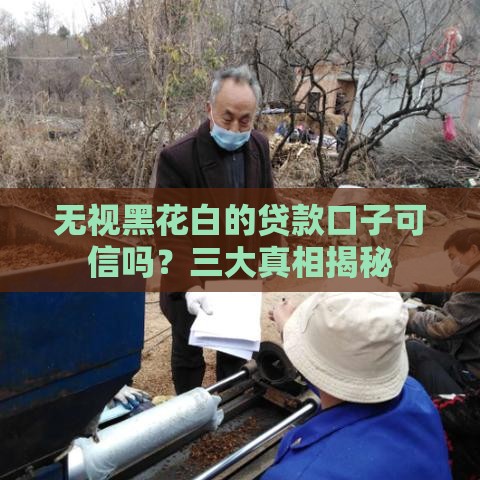 无视黑花白的贷款口子可信吗？三大真相揭秘