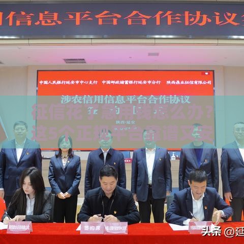 征信花了急用钱怎么办？这5个正规平台靠谱又安全！