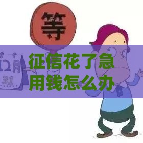 征信花了急用钱怎么办？这5个正规平台靠谱又安全！