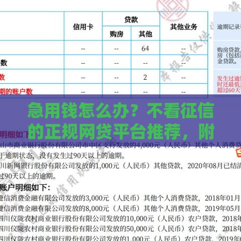 急用钱怎么办？不看征信的正规网贷平台推荐，附避坑指南！