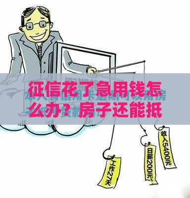 征信花了急用钱怎么办？房子还能抵押借款吗？