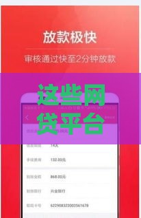 这些网贷平台审核快放款稳