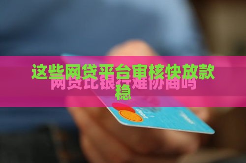 这些网贷平台审核快放款稳