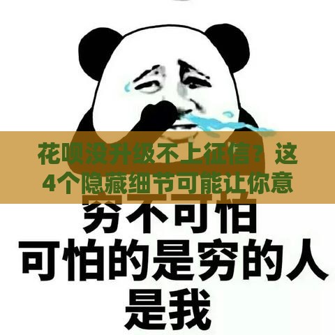 花呗没升级不上征信？这4个隐藏细节可能让你意外！