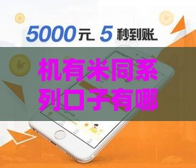 机有米同系列口子有哪些？这5个平台下款快门槛低