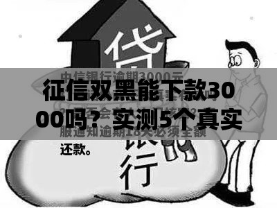 征信双黑能下款3000吗？实测5个真实渠道+避坑指南