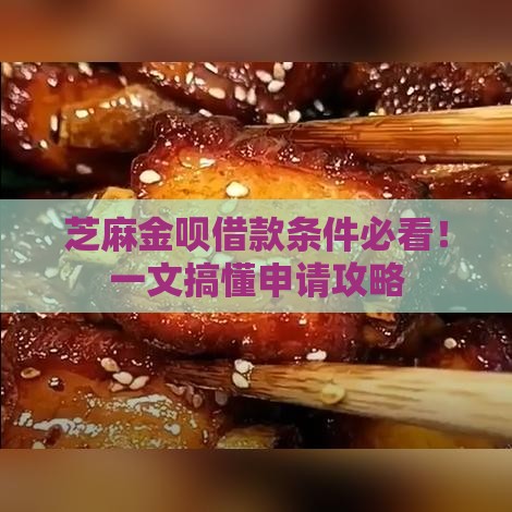 芝麻金呗借款条件必看！一文搞懂申请攻略