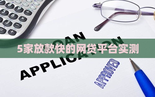 5家放款快的网贷平台实测