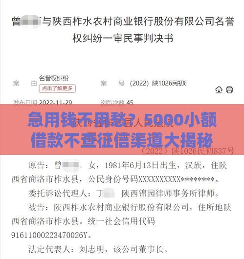 急用钱不用愁？5000小额借款不查征信渠道大揭秘