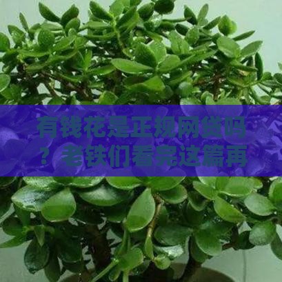 有钱花是正规网贷吗？老铁们看完这篇再决定用不用！