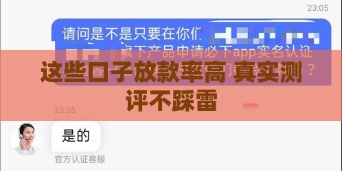 这些口子放款率高 真实测评不踩雷