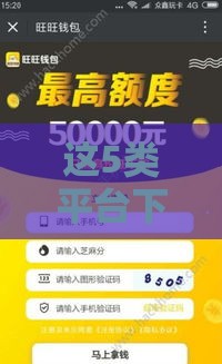 这5类平台下款快、审核松、免回访！