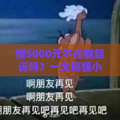 借5000元不还能起诉吗？一文搞懂小额借款纠纷处理