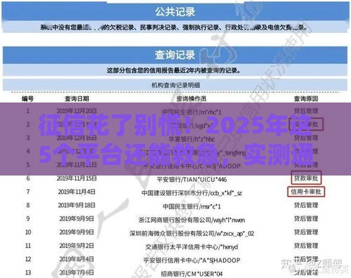 征信花了别慌！2025年这5个平台还能救急，实测通过率高