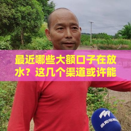 最近哪些大额口子在放水？这几个渠道或许能解你燃眉之急！