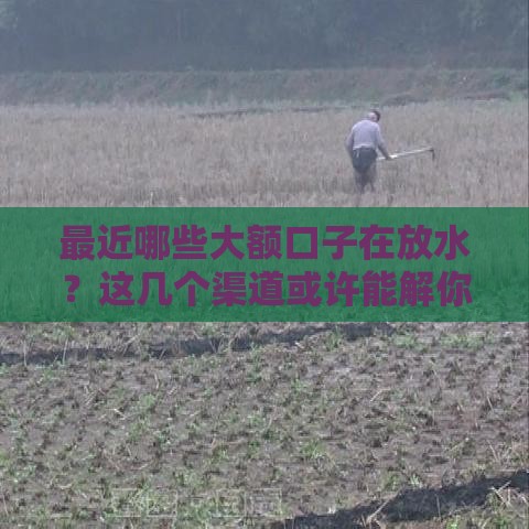 最近哪些大额口子在放水？这几个渠道或许能解你燃眉之急！