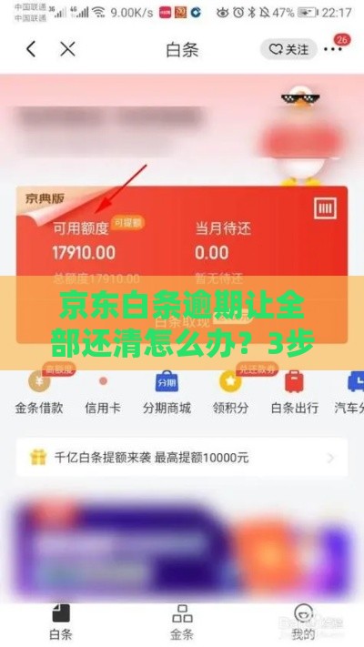 京东白条逾期让全部还清怎么办？3步教你紧急应对！