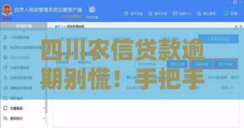 四川农信贷款逾期别慌！手把手教你正确处理流程