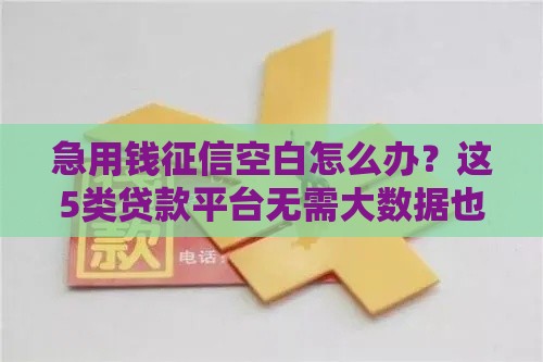 急用钱征信空白怎么办？这5类贷款平台无需大数据也能放款
