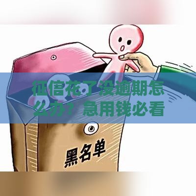 征信花了没逾期怎么办？急用钱必看的借款攻略！