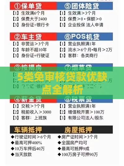 5类免审核贷款优缺点全解析