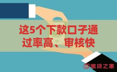 这5个下款口子通过率高、审核快