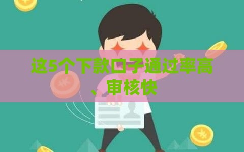 这5个下款口子通过率高、审核快