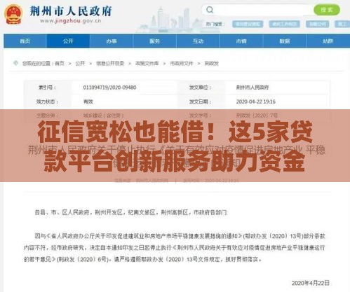 征信宽松也能借!这5家贷款平台创新服务助力资金周转 征信宽松也能借!这5家贷款平台创新服务助力资金周转