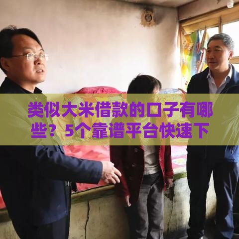 类似大米借款的口子有哪些？5个靠谱平台快速下款攻略